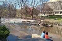 Red Cedar at 1230 CFS