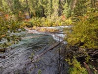 River wide logs