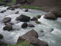 Rapids at the Gates