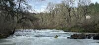 Blackwell Rapid