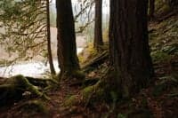 View Above the Washout
