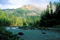 Scott River below Indian Scotty