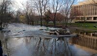 Red Cedar at 1230 CFS