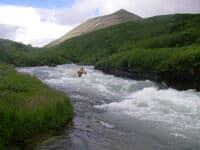 Rapid on the Aniakchak