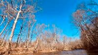 Catoctin Creek
