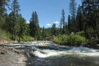 Rapids on the Little Salmon
