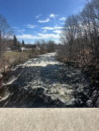 Mousam from Rt 1 bridge
