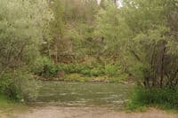 Shoreline at Gottville River Access