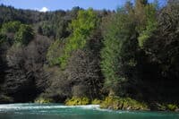Blue Creek