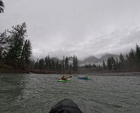 Logs up on the bank