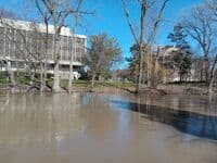 MSU Wave