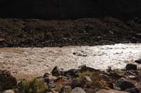 Rapid 1