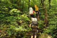 Hiking Up From River To Trail