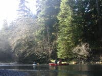 Ed and Grace in Canoe