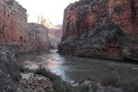 Nautiloid Camp