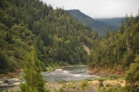 Bluff Creek Rapid