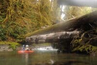 Big Wood