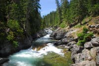 Looking Upstream from Take-Out