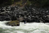 Taka at Big Mallard