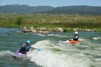Surfing the Middle Wave