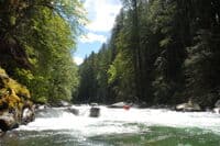 Rapid in the Canyon
