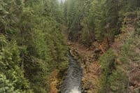 View of the River from Green Truss Bridge