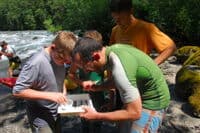Viewing Macroinvertebrates