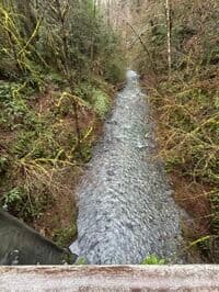 Looking downstream from the put in bridge