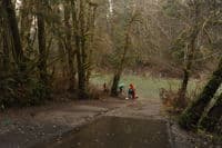 Sol Duc Hatchery Take-out