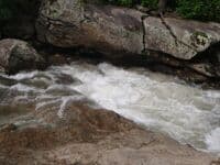 Rapid below Panther Falls