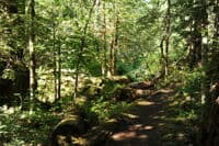 Elk Lake Trail