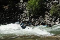 Cassia Surfing