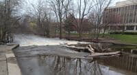 Red Cedar at 1020 CFS