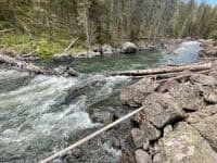 River wide wood