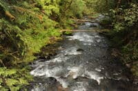View Looking Downstream From Bridge