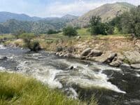 Middle Holiday Rapid