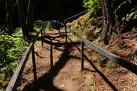 Rails at BZ Corners Launch