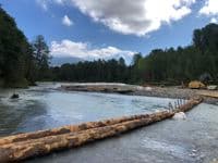 Logs and other bridge (not shown) over right bank channel on 8/2/22 
