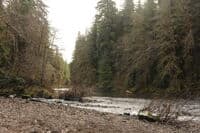 Hyas Creek Confluence