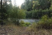 Cottonwood Campground Shoreline Access