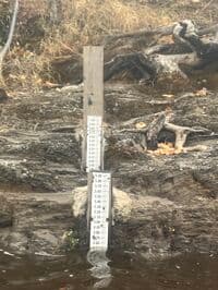 Gauge