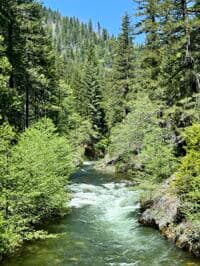 North Fork Salmon River