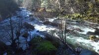 Chrome Creek Confluence Rapid