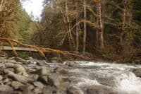 North Fork Confluence