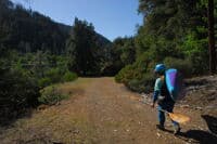 Walking Down to Methodist Creek Access