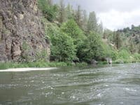Springs