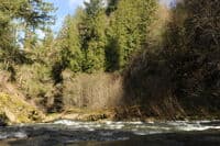 Upper River Reaches