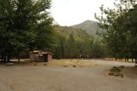 Day Use Area at Tree of Heaven