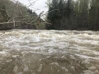 Upper Dolores River: Stoner diversion dam