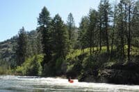 Surprise Rapid